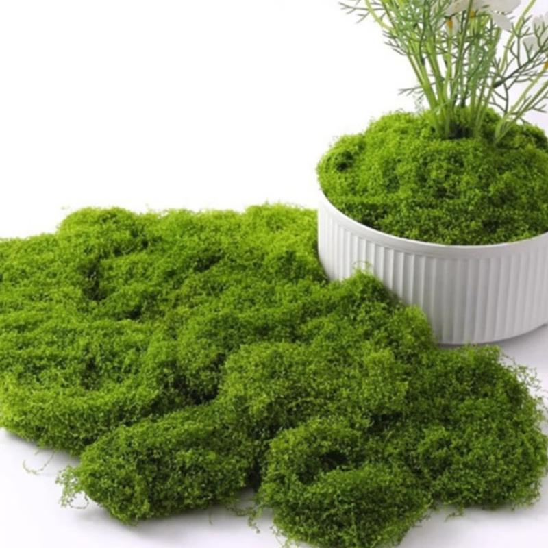 JINGRUIXIANG Simulated Moss for Micro-Landscapes and Potted Plants