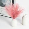 Pampas Grass Craft Bouquet Artificial Plants For Home Garden Landscape Layout Festival Wreath Accessory Wedding Daily Decor Reed