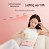 Rainbow Smart Heated Menstrual Relief Waist Belt