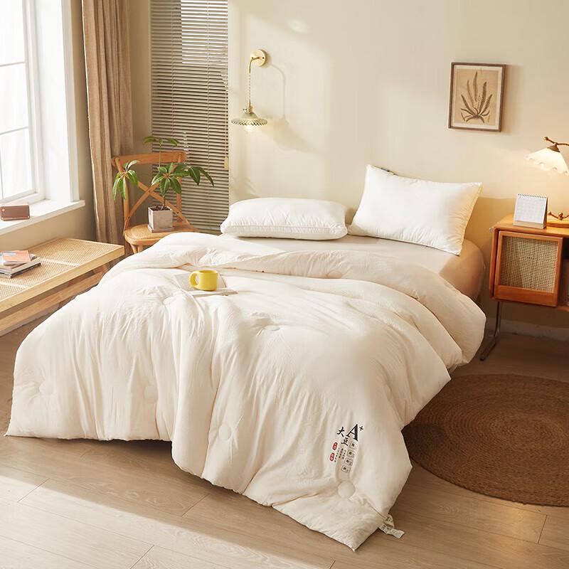 Super Soft Four Seasons Soy Fiber Quilt