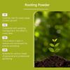 MOONSPRY Universal Plant Rooting Powder - Gentle, Long-Lasting Nutrition for Robust Growth