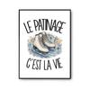 Poster Skating Is Life | Poster Photo Paper 310 G Pearlescent Finish Size A2 | Wall Decoration Living Room Bedroom