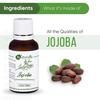 Naturalis Essence of Nature Extra Virgin & Unrefined Cold Pressed Golden Jojoba Carrier Oil for Face and Hair - 30ml