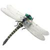 PVC Science Toys Animal Model Dragonfly Model Animal Figures Insects Model Dragonfly Action Figures