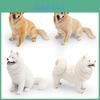Realistic Large Pet Dog Model Pvc Toy For Childrens Educational Play And Desktop Decor