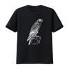 Premium Peregrine Falcon Ornithology Falconer Bird Lover T Shirt Vintage Washed Streetwear Homme Stylish Top For Everyday Wear
