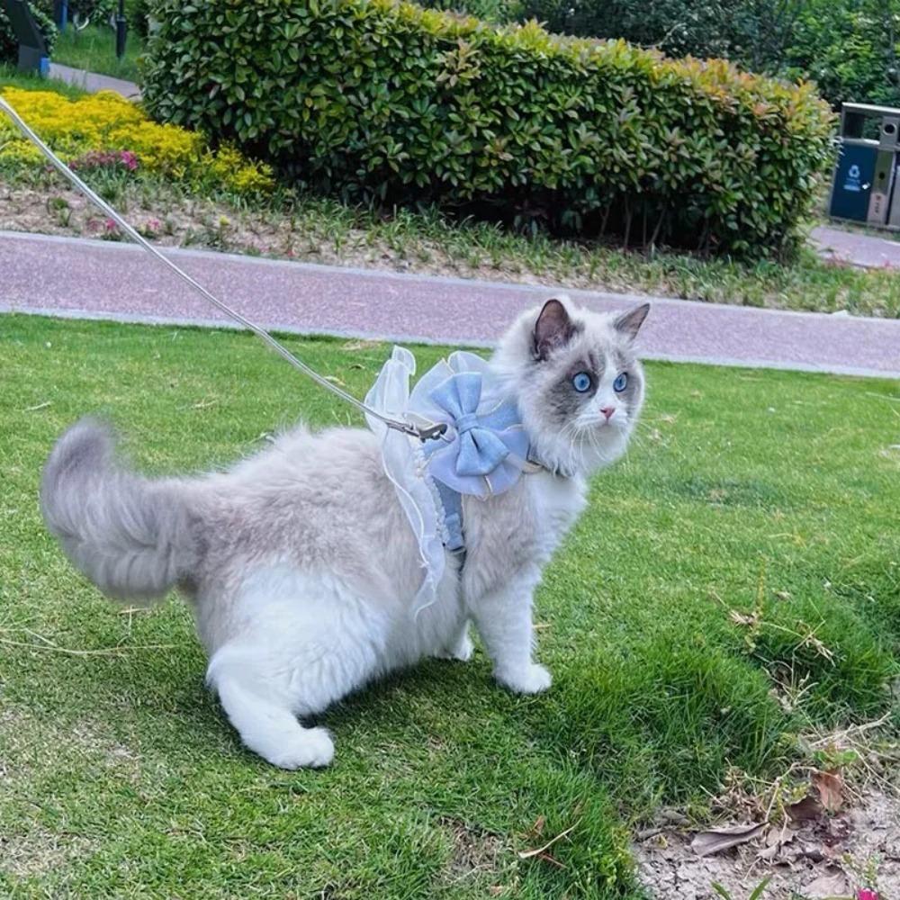 Adjustable Cat Harness Leash Princess Style Dog Traction Rope Animal Outfits Cat Vest Photo Shoot