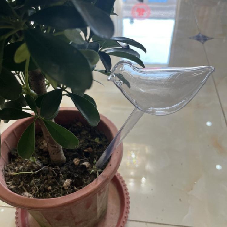 Transparent Plant Watering Globes Self Watering Spikes Bird Shaped Self Watering