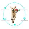 FPQ-01 Dot Saucer Ball Toy Pet Gift Interactive Flying Throwing Disc Ball with Ropes (BPA Free,CPC/FDA/RoHS Certified)
