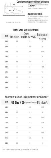 Anta Champion Windrunner Running Shoes