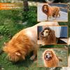 Plush Material Lion Mane Wig Hat Funny Design Pet Photo Prop Hat Cat Wig Hat  Halloween Party