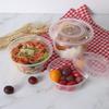 ZISIZ Disposable Plastic Bowls