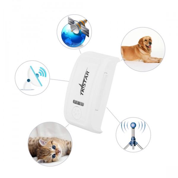 gprs for dogs