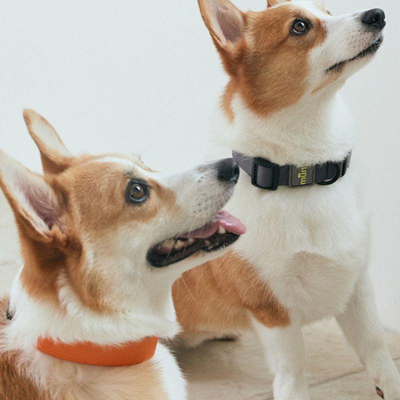 MUNIKUND Water-Block Collar (3 Colors)