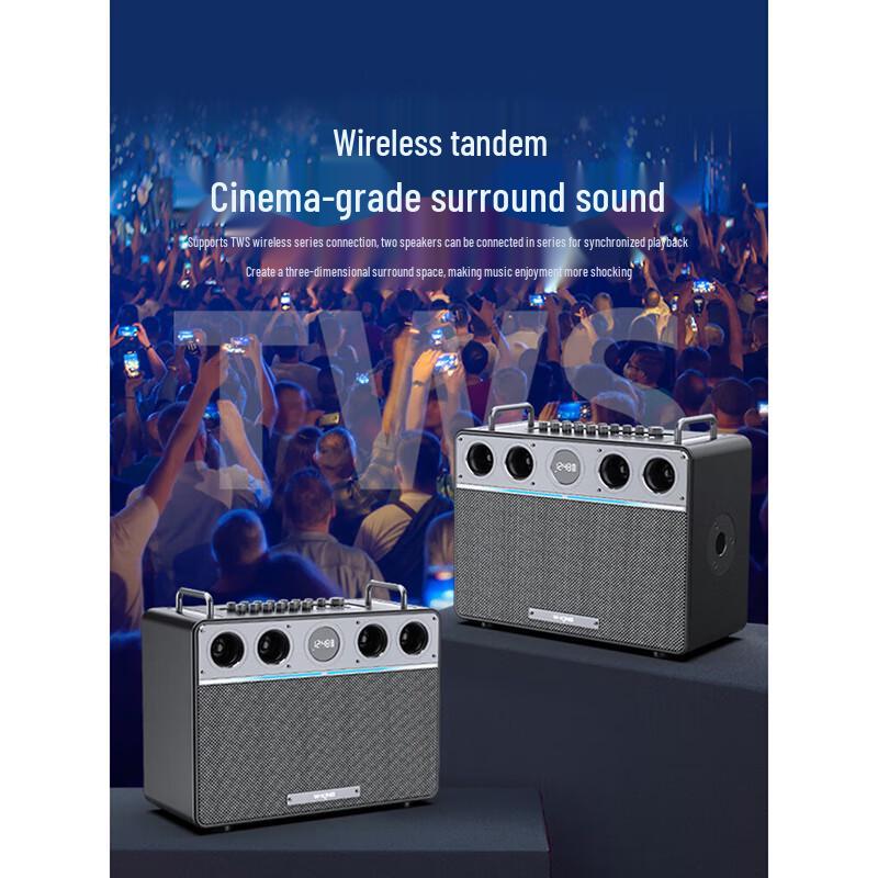 W-King T16PLUS 300W Portable KTV Bluetooth Speaker
