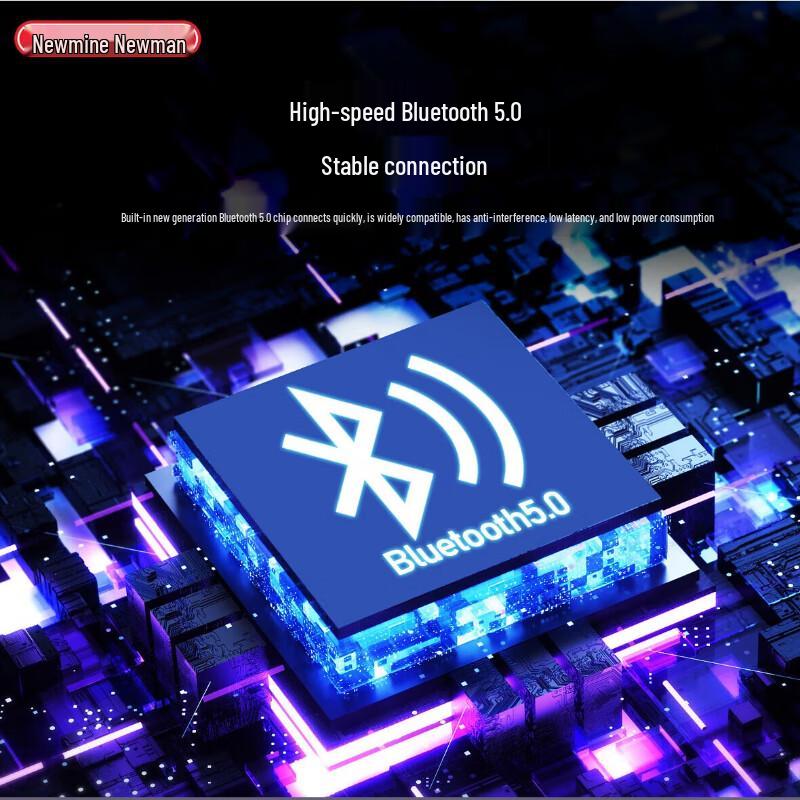 Newmine BT33 Tragbarer Bluetooth-Lautsprecher