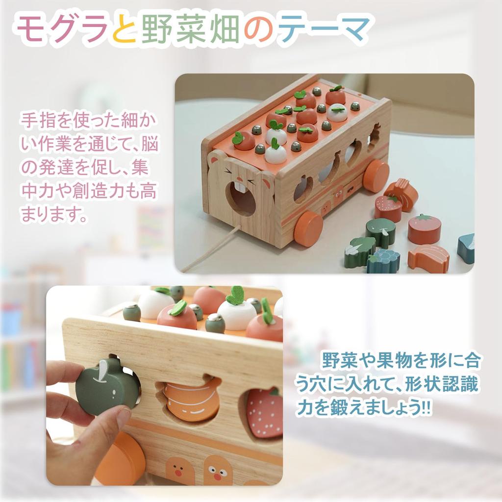 Shisne Shape Matching Montessori Fishing Building Wooden Kids Ages Boys and Shape Early Fingertip Educational Baby Kindergarten Entry Birthday Gift