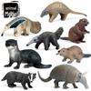 Animal Simulation Toys: Capybara, Beaver, Pangolin, Armadillo, Badger, Anteater, Otter, Aardvark, Skunk, Tapir