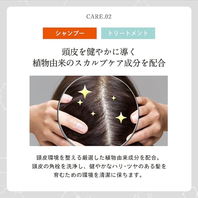 Daily Repair Scalp Shampoo Care Damage Bottle with Serial DRH+ H+ [Hematin Anti-Aging Repair] (400ml Number)