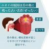 Ivankool Tongue Cleaner Wide Type Coating Removal Brush Polishing Bad Breath Care Zero Gag Reflex Vacuum Stainless Steel High Quality Made Korea 10000