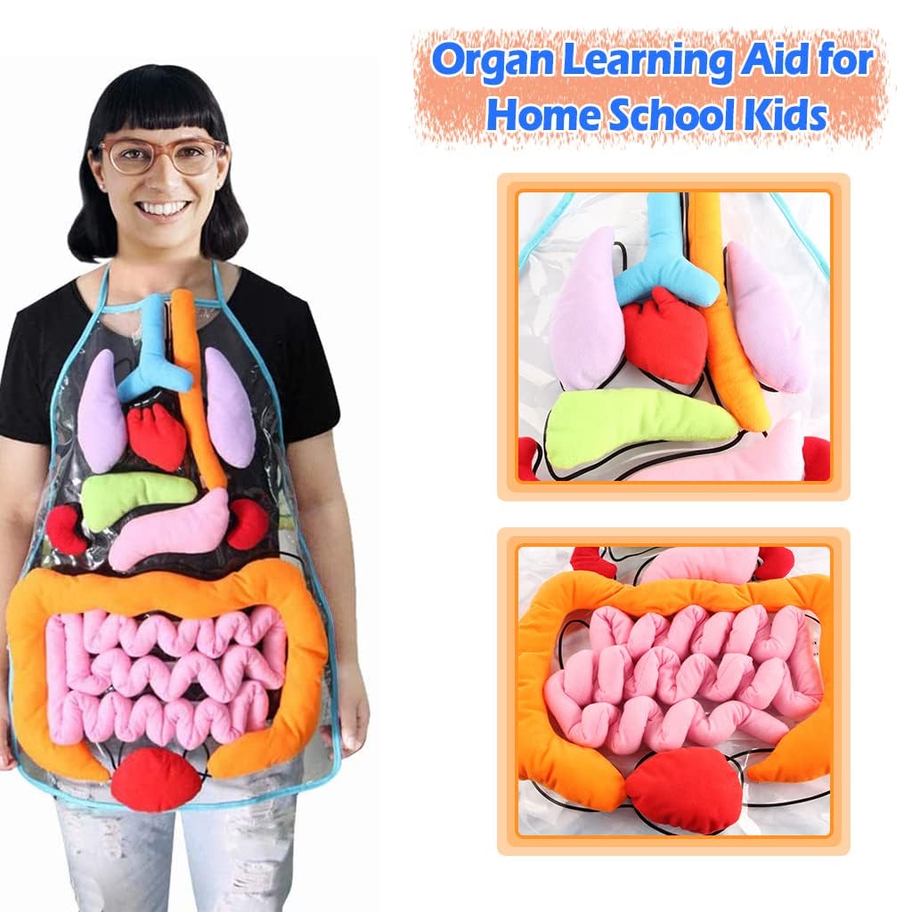 3D Organ Apron,  Anatomy Apron Human Body Organs Awareness Educational Toy for Home Preschool Teaching Aid