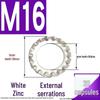 304 Stainless Steel External & Internal Tooth Lock Washer, Anti-Slip, Anti-Loosening, Size M6-M30