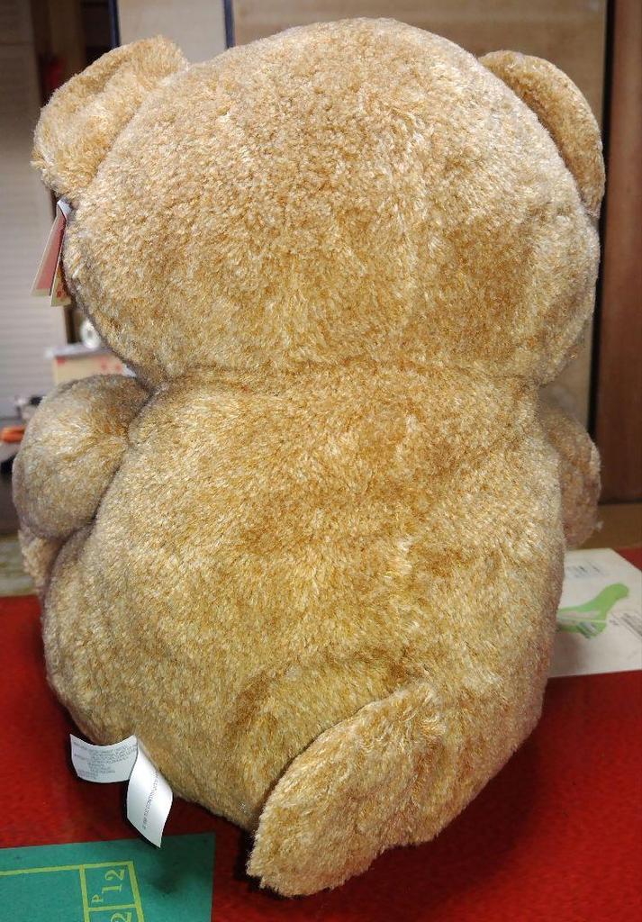 [USED] Teddy Bear Teddy Bear