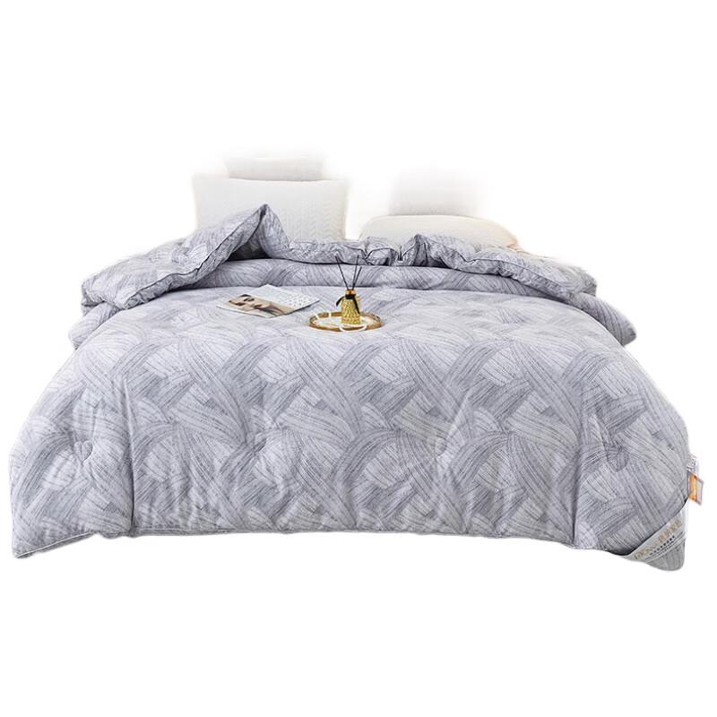 

Donald Home Textiles Little Sun Warm Velvet Thick Quilt