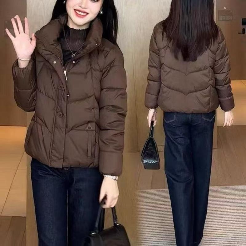 Winter Daunen Baumwolljacke Dick Warm Parkas Damen Pufferjacke Locker Lässig Übermantel Baumwollgepolsterte Jacke Damen Oberbekleidung