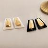 European and American Silver Needle Geometric Resin Square Stud Earrings Simple Ins Style Earrings Light Luxury High-end Earrings