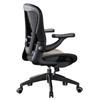 Ergonomic Office Chair with Headrest
