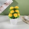 Flower Pot Plastic With Twelve Ball Chrysanthemum For Indoor Decoration
