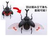 Free Research Series Living Creatures Beetle Plastic Model No.21