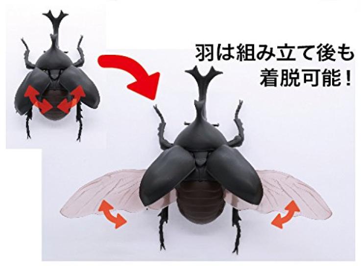 Free Research Series Living Creatures Beetle Plastic Model No.21