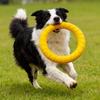 EVA Teething & Training Ring Set for Large Dogs - Bite-Resistant Frisbee & Toys for Border Collies