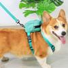 Pet Backpack Harness + Leash (L) (Green Dinosaur)