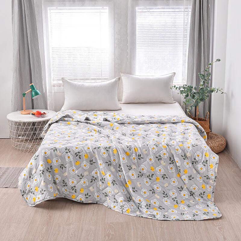 

Huang Qin Shi Jia Cloud Soft Summer Quilt