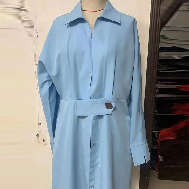 Elegantní modré šaty Midi 2023 Jaro Léto Dlouhý rukáv Jednořadé Dámské šaty Dojíždění Ležérní Dámský župan