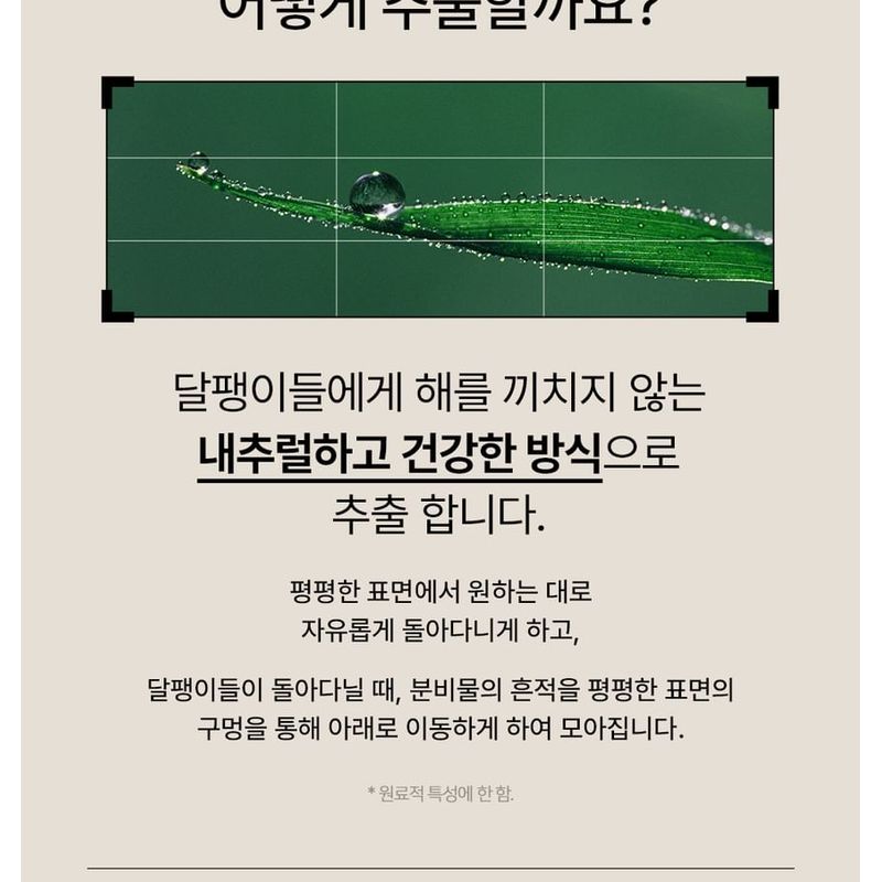 Nature Republic Emulsja z roztworem ślimaka