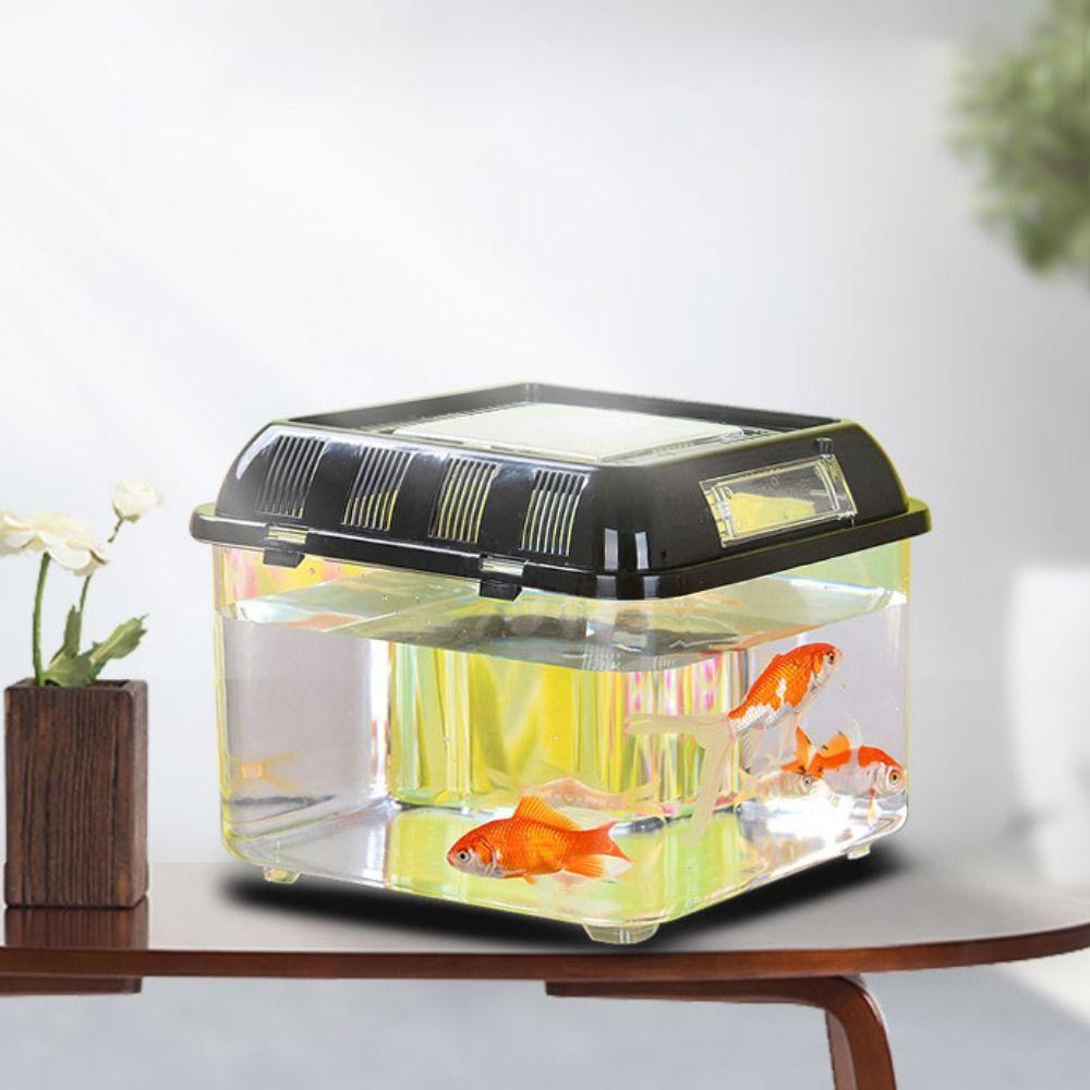 Handheld Portable Fish Tank Plastic Reptile Terrarium Peractical Fish Bowl  Home