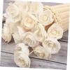 BESPORTBLE 8pcs Rattan Sola Flower Essential Oil Vines White Outfit Wood Appliques Floral Diffuser Wick Spa Perfume Beautiful Diffuser Flowers Wooden