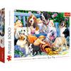 10556 "1000 - Dogs In the Garden