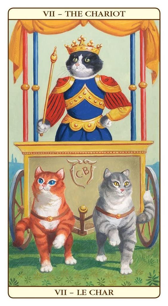 Tarotové karty Kancharo 78 kusů, věštění z tarotu, kočka, základní návod k japonským tarotovým kartám, součástí balení [Marseille Tarot] a (originální produkt)