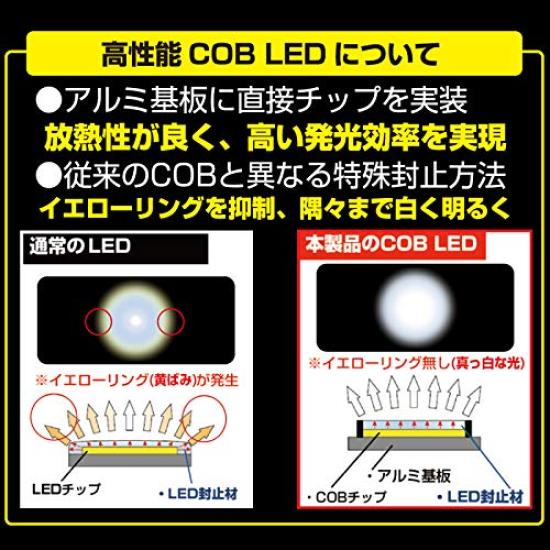 IPF LED Interior Lamp for T10 T13 6000K 305R Cars, T16, 100lm, White, 12V, 1pc, COB, Top-Surface Illumination,
