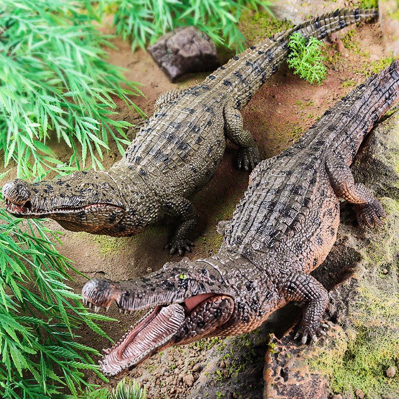 Large Crocodile Wildlife Model Toy: Yangtze Crocodile for Kids' Cognitive Play