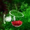 10Pieces Acrylic Aquariums Worm Feeder With Suction Cup Space Saving Wall Mounted Food Container For Fishtanks Feeding