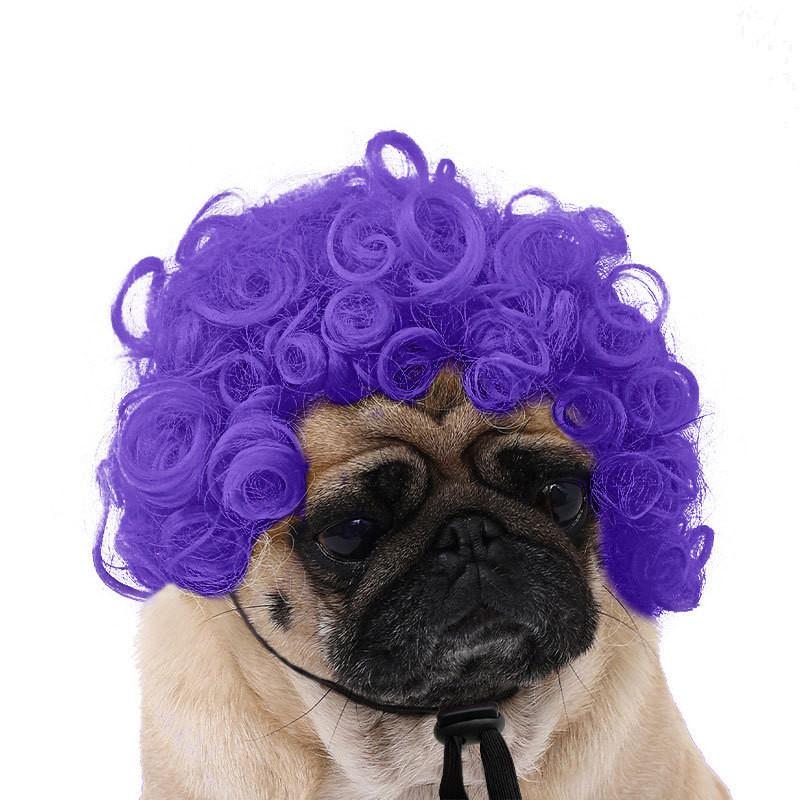 Are 10 Here Suggested Titles For The Pet Wig Product Based On The Information Provided