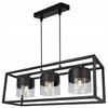 HANGING LAMP CAGE ELEGANT GLASS SHADE