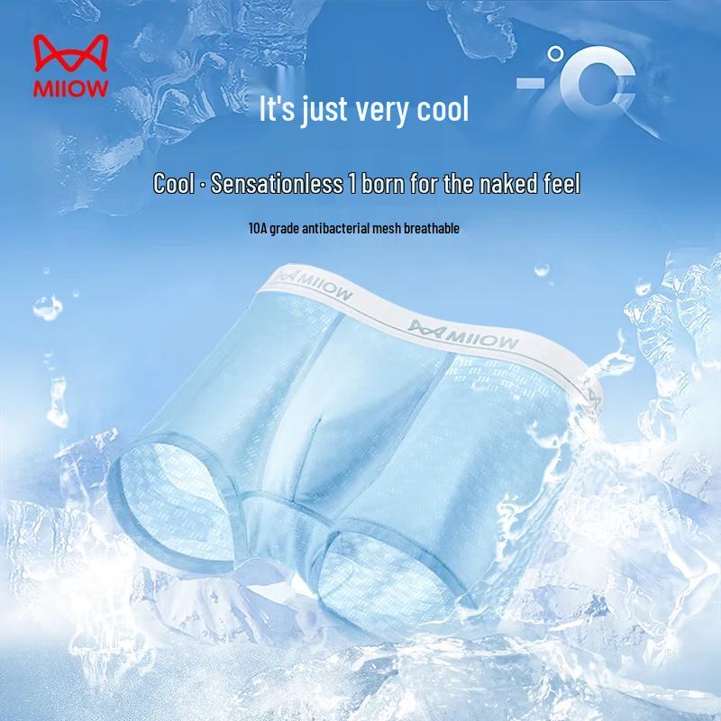 MaoRen Teen Boys Ice Silk Breathable Underwear 4-Pack