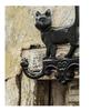 Nordic Vintage Wrought Iron Kitten & Puppy Wall Coat Hook for Home & Garden Decor